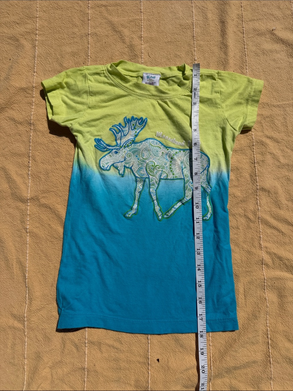 Kids Moose Graphic Dip-Dye Tee - Lime Green & Teal